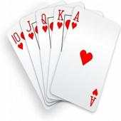 Twenty nine 29 Merriage Card Game 1.0.1