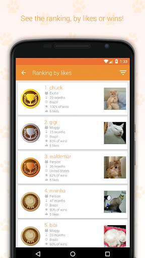 Hashcat - Cat's social network screenshot 4