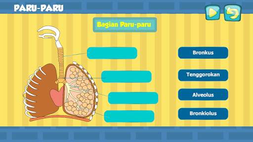 sistem ekskresi manusia 3 تصوير الشاشة