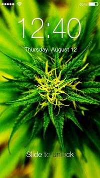 Marijuana Ganja App Lock Screen screenshot 1