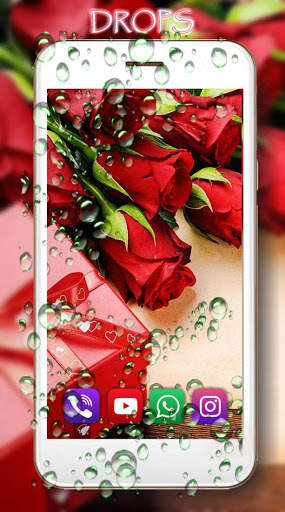 Love Roses Live Wallpaper screenshot 4