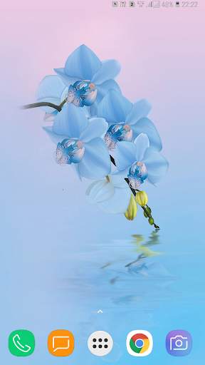 Wallpaper for Huawei Mate 20 screenshot 6