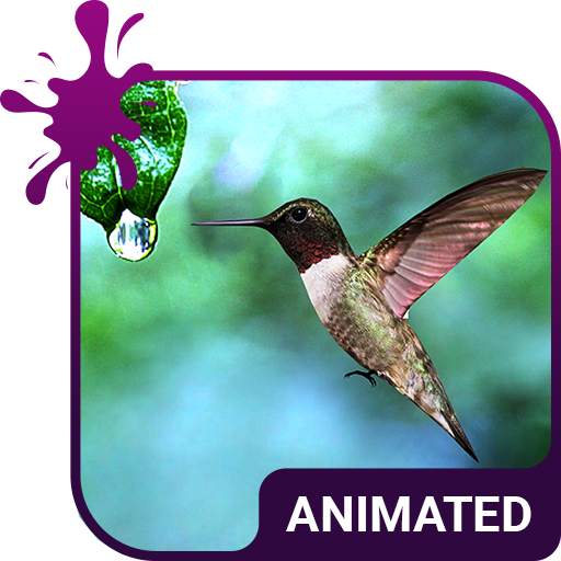 Colibri Live Wallpaper Theme 5.9.11