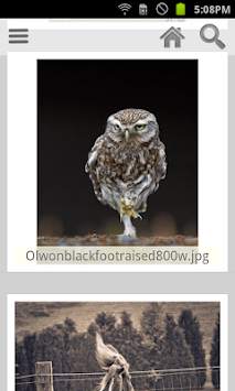 Kuc.Picasa (photo viewer) screenshot 1