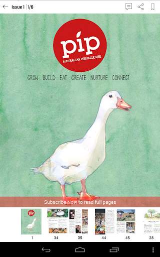 Pip Magazine скриншот 5