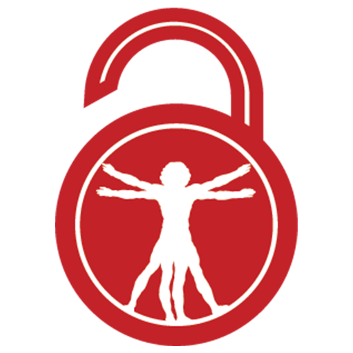 DaVinci Lock Mobile icon