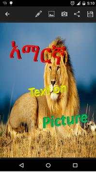 Amharic text on picture screenshot 1