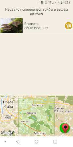 По грибы скриншот 5