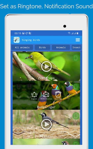 Singing Birds स्क्रीनशॉट 7
