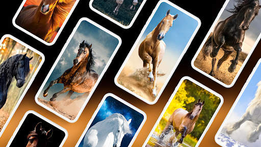 Horse Wallpapers 4K screenshot 1