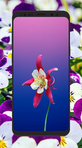 HD 3D Flower Wallpapers 4K background screenshot 6