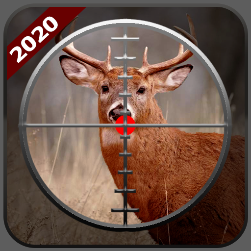 Chasse sauvage 3d: Jungle Animal Hunting Games icon
