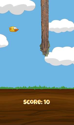ReynaBirds – Bird Adventure Game screenshot 5