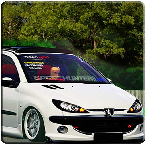 206 Driving Simulator 6.0