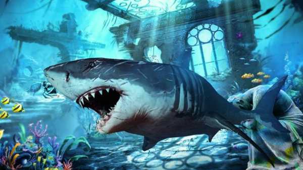 Blue Whale 2017 - Angry Shark World screenshot 5
