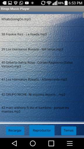 Rinqo Reproductor de Música screenshot 2
