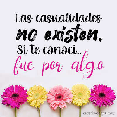 Imágenes con Frases 3 تصوير الشاشة