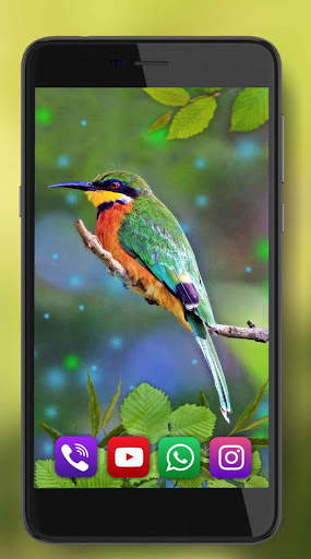 Birds Sounds Live Wallpaper screenshot 2