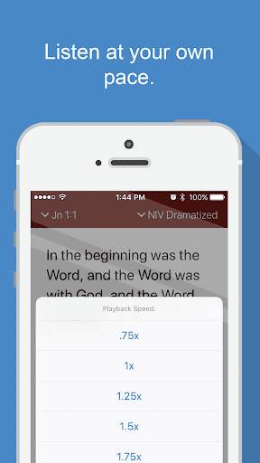 Bible Audio screenshot 3