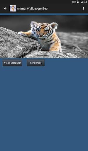 Animal Wallpapers App 🐈🐅🐎 : Animal Background screenshot 14