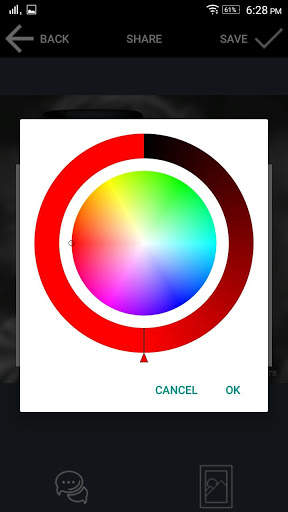 PIP PIC screenshot 1