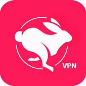 Carrot VPN 1.0