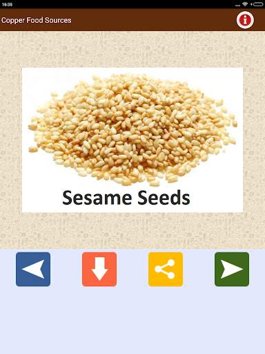 Minerals & Antioxidants Foods screenshot 10