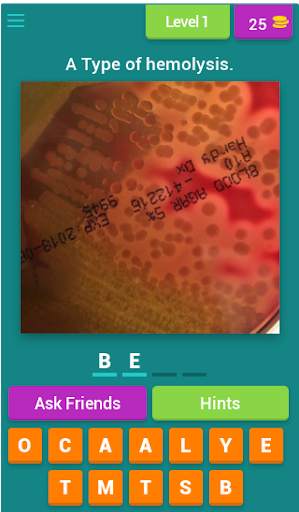 Microbiology quiz; plate reading app. screenshot 5