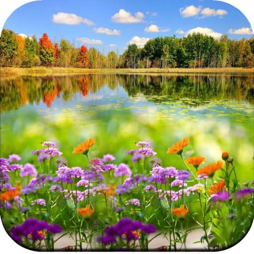 Nature Wallpaper 1.09