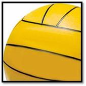 Waterpolo Analytics ESP icon