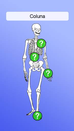 Anatomia screenshot 3
