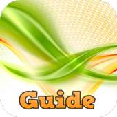 Guide for Temple Run Brave 1.0