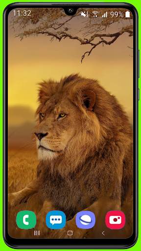 Lion Wallpaper Best HD screenshot 3