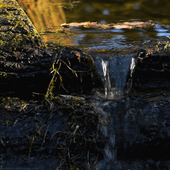 Craggy Waterfall LWP icon
