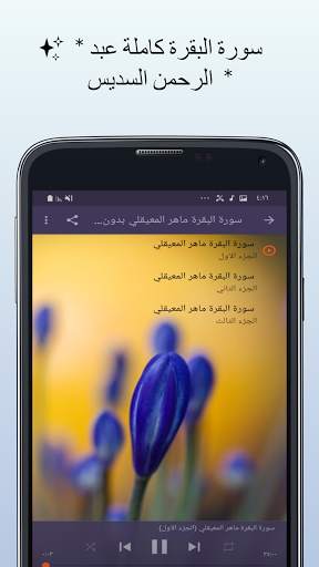 Surah Al-Baqarah Saad Al-Ghamdi without Net mp3 screenshot 8