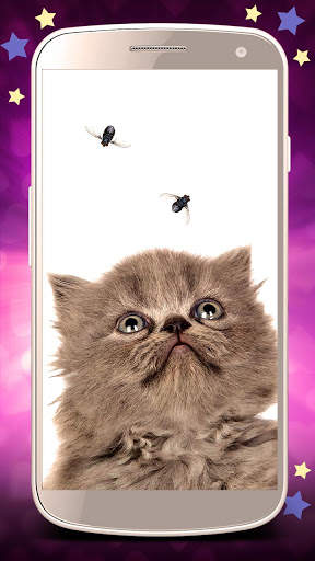 Cute cats live wallpaper. Cute dogs, unicorns screenshot 7