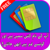 Pakistan Sim Info : Sim Verification иконка