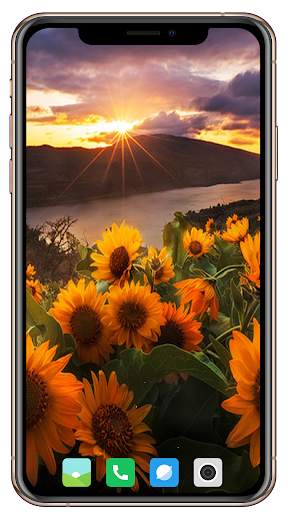 Nice Sunrise  Wallpaper screenshot 4