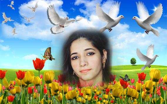 Bird Photo Frame Photo Editor screenshot 5