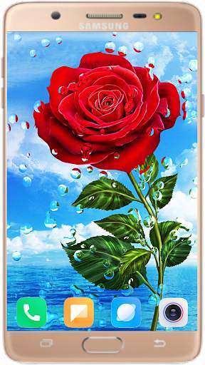 Red Rose Wallpaper 4K screenshot 3