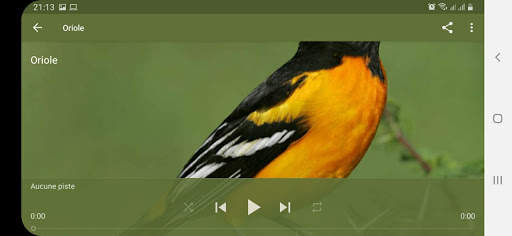 Bird Sounds screenshot 15