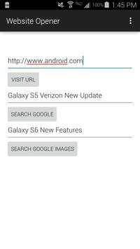 Website Opener screenshot 2