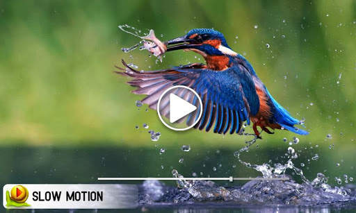 Slow Motion Video Editor – Movie Effect screenshot 1