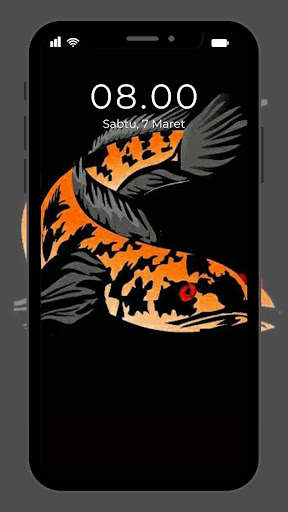 Wallpaper Ikan Channa screenshot 1