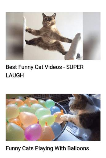 Funny Cat Best Videos स्क्रीनशॉट 5