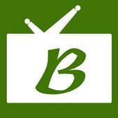 Bive TV logo