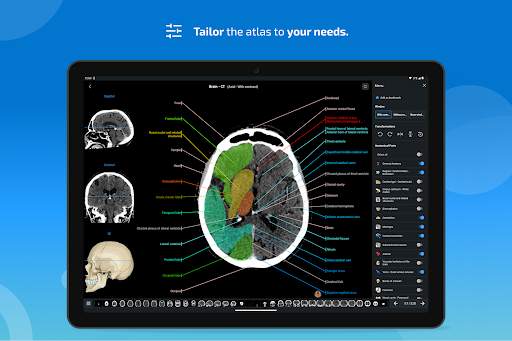 e-Anatomy screenshot 14