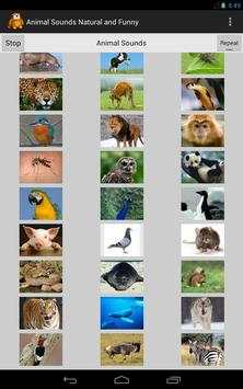 Funny Animal Sounds screenshot 4