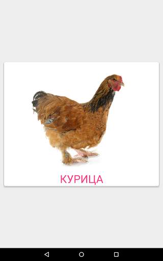 Карточки Домана screenshot 14