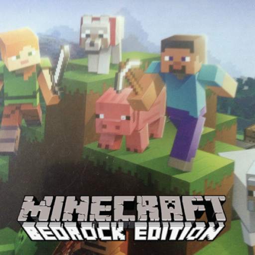 Bedrock for Minecraft MCPE 10.1